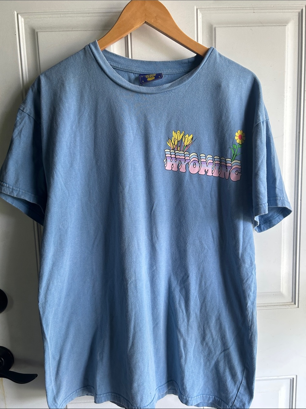 Coney Island Picnic Light Blue Graphic Tee